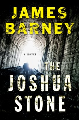 Cover image for The Joshua Stone