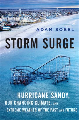 Cover image for Storm Surge