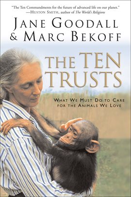 Cover image for The Ten Trusts
