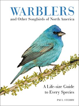 Cover image for Warblers and Other Songbirds of North America