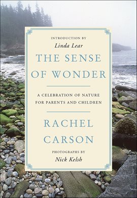 Imagen de portada para The Sense of Wonder