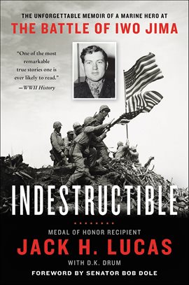 Cover image for Indestructible