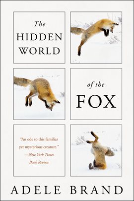 Cover image for The Hidden World of the Fox