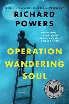 Cover image for Operation Wandering Soul