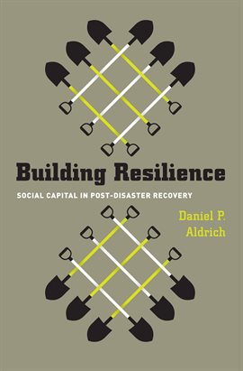 Cover image for Building Resilience