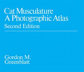 Cover image for Cat Musculature