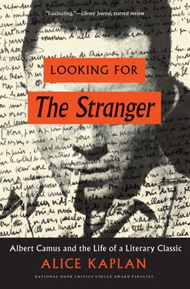 Cover image for Looking for The Stranger