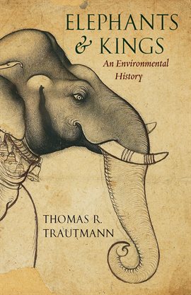 Cover image for Elephants & Kings