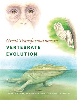 Cover image for Great Transformations in Vertebrate Evolution