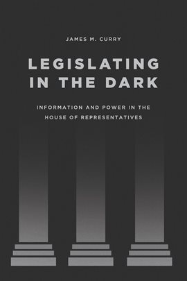 Cover image for Legislating in the Dark