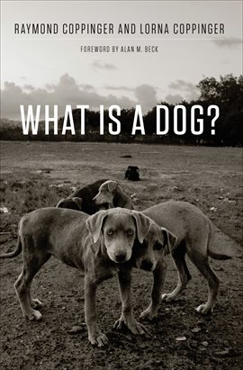 Cover image for What Is a Dog?