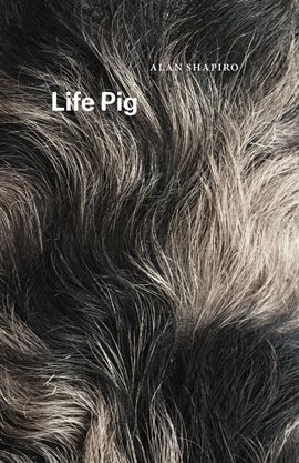Imagen de portada para Life Pig