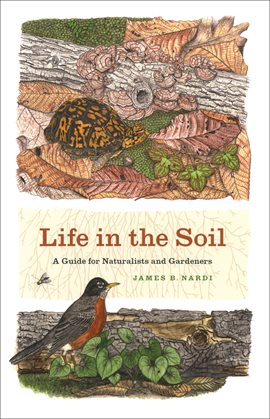 Cover image for Life in the Soil
