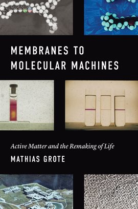 Cover image for Membranes to Molecular Machines