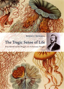 Cover image for The Tragic Sense of Life