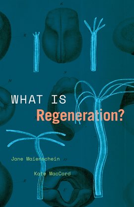 Cover image for What Is Regeneration?