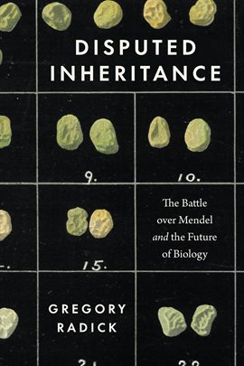 Cover image for Disputed Inheritance