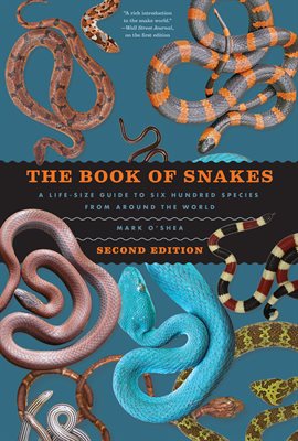 Cover image for The Book of Snakes