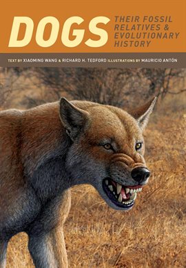 Cover image for Dogs