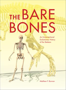 Cover image for The Bare Bones