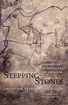 Cover image for Stepping-Stones