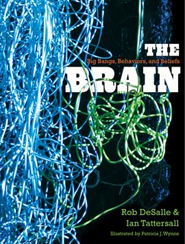 Cover image for The Brain