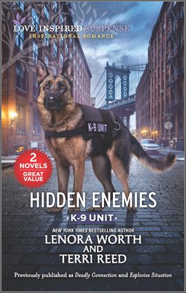 Cover image for Hidden Enemies