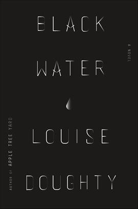 Cover image for Black Water