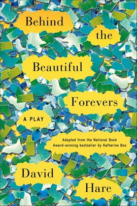 Imagen de portada para Behind the Beautiful Forevers