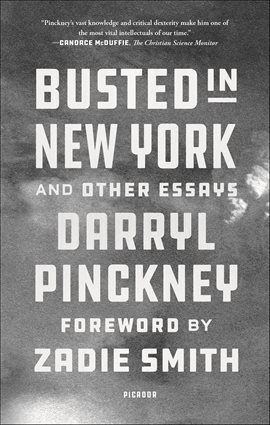 Cover image for Busted in New York and Other Essays