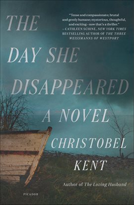 Cover image for The Day She Disappeared