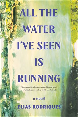 Imagen de portada para All the Water I've Seen Is Running