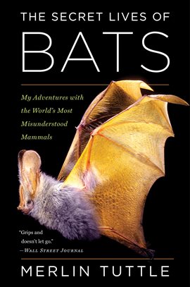 Cover image for The Secret Lives of Bats