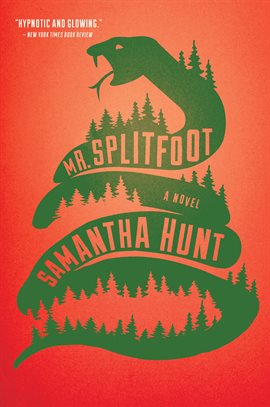 Cover image for Mr. Splitfoot
