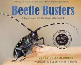 Imagen de portada para Beetle Busters