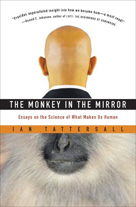 Cover image for The Monkey in the Mirror