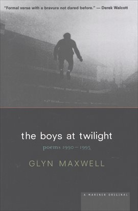 Cover image for The Boys At Twilight