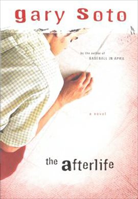 Cover image for The Afterlife