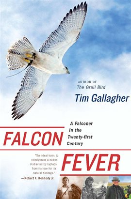 Cover image for Falcon Fever