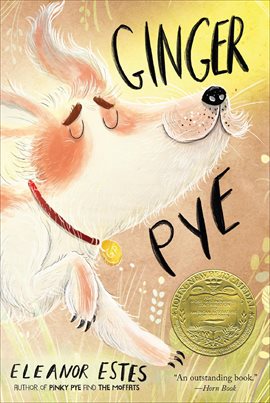 Cover image for Ginger Pye