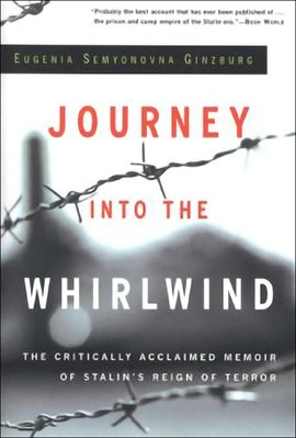 Cover image for Journey into the Whirlwind