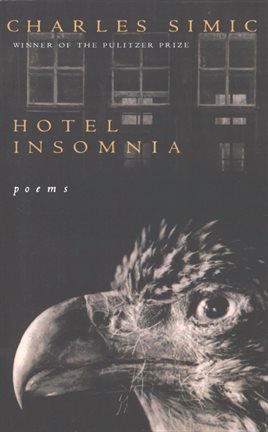 Cover image for Hotel Insomnia