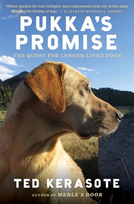 Cover image for Pukka's Promise