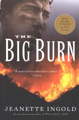 Cover image for The Big Burn