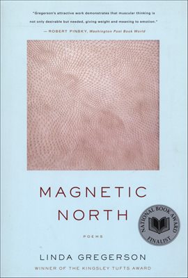 Cover image for Magnetic North