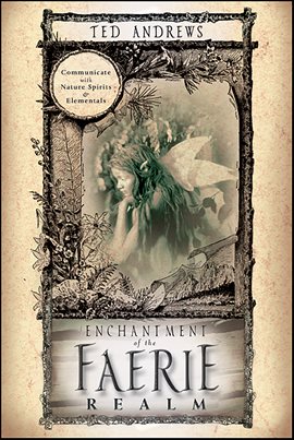 Cover image for Enchantment of the Faerie Realm