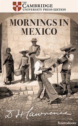 Cover image for Mornings in Mexico