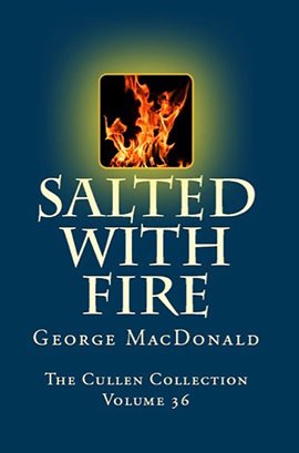 Imagen de portada para Salted with Fire