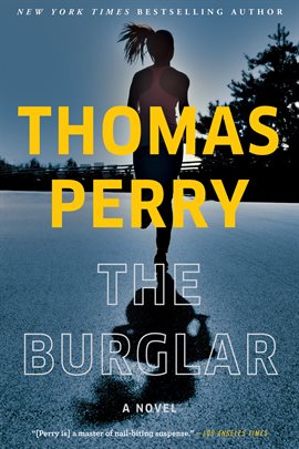 Cover image for The Burglar