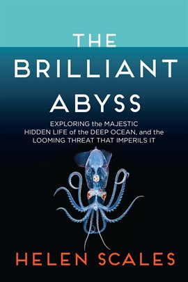 Cover image for The Brilliant Abyss